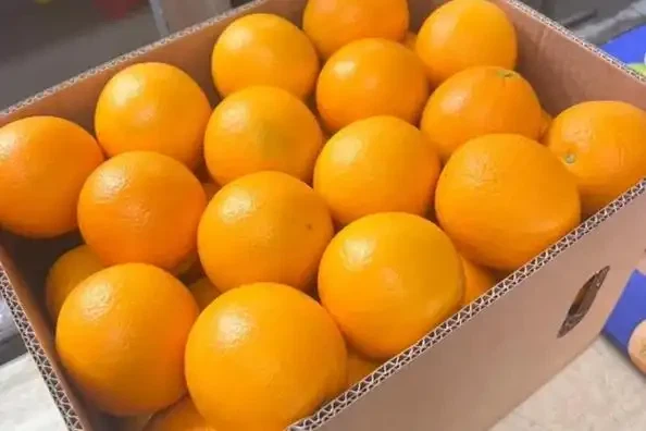Valencia Orange, Navel Orange, Sweet Orange suppliers