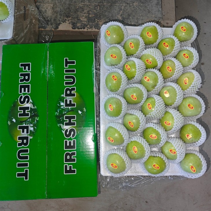 Wholesale Premium Green Apple Gala Apples price