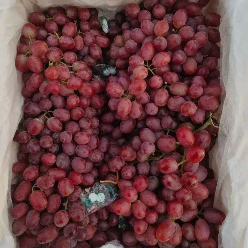 24mm Seedless Crimson Grape suppliers