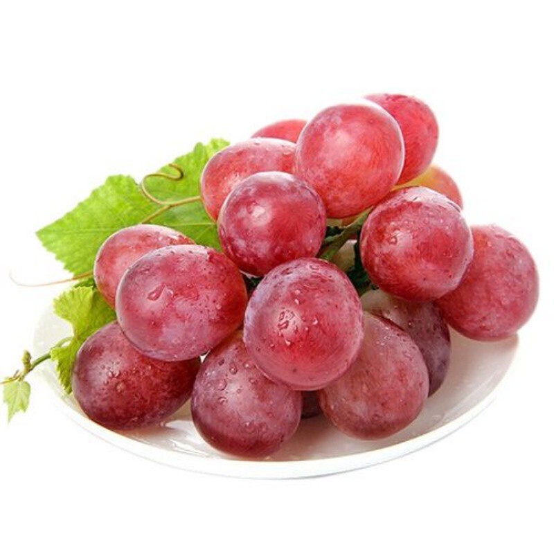 u18887316923670422517fm224app112fJPEG u18887316923670422517fm224app112fJPEG