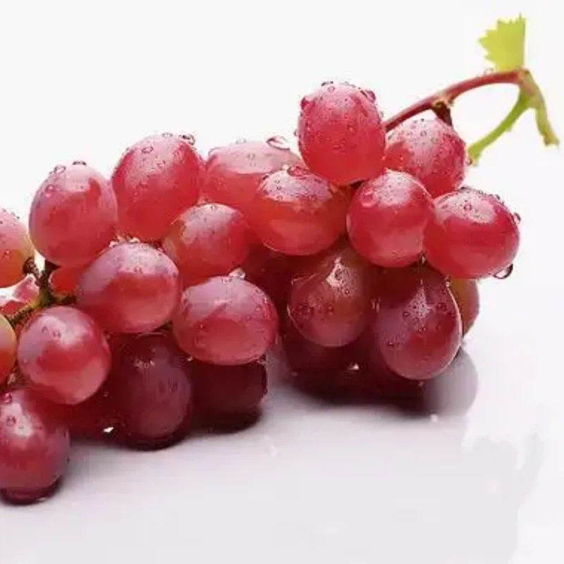 u113397369912170218fm253fmtautoapp138fJPEG u113397369912170218fm253fmtautoapp138fJPEG