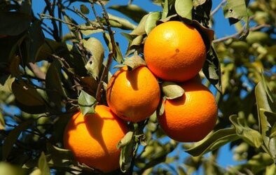 t01573bca585482f821 t01573bca585482f821