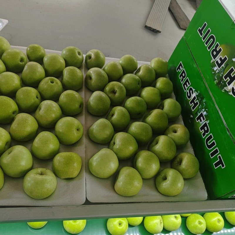 20240802172101 20240802172101