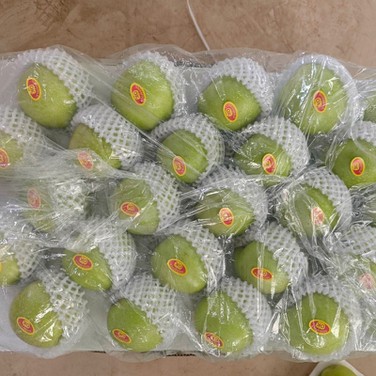 20240802174209 20240802174209